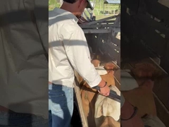 PT290 LF 소 귀 태그 리더 RFID 스틱 리더