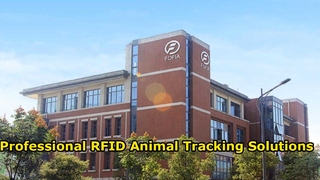 Fofia의 전문 RFID 동물 식별 솔루션