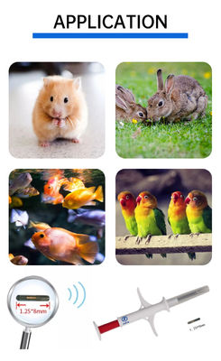 Fofia 2026 Hot Selling RFID 134.2kHz Animal ID 마이크로칩 통합형 귀 태그 ZS009 Waterproof for Cattle Pet Injection