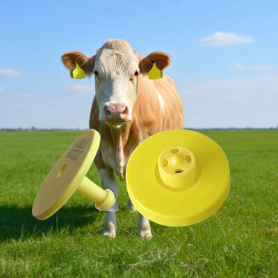 안전한 무선 통신을 통한 정확한 가축 식별 및 건강 모니터링을 제공하는 전자 소 귀표