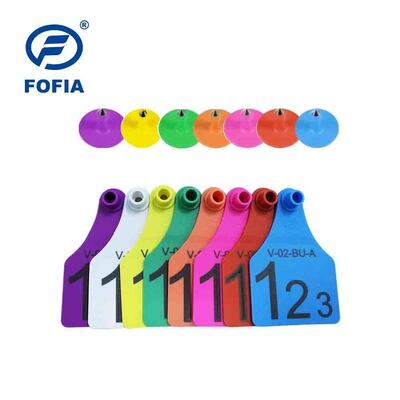 FOFIA 소 TPU 시각적 노란색 가축 연결 소 귀 태그 T921 모델