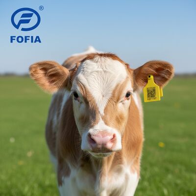 농장 가축 사용을 위한 새로운 T921 동물 귀 태그 노란색 고품질 RFID TPU
