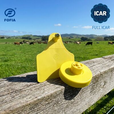 ICAR 완전 인증 134.2KHz RFID 전자 귀 태그 돼지 염소 양 식별