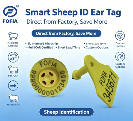 ICAR 인증 TPU RFID 귀 태그 가축 식별 및 모니터링을 위해 350N 긴장