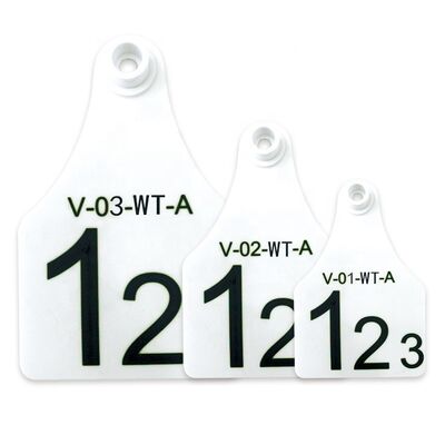 FOFIA ET921 플라스틱 소 귀 태그 동물 추적 레이저 코딩 다양한 크기 소와 양 돼지 농장 사용 번호