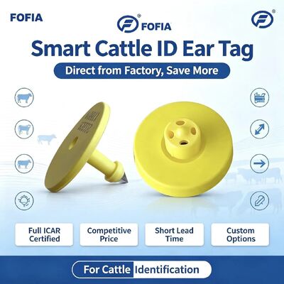 전체 ICAR ET908+T901 방수 RFID LF TPU 노란색 동물 귀 태그 14.5mm EM4305 칩 5 년 보증 소 포피아