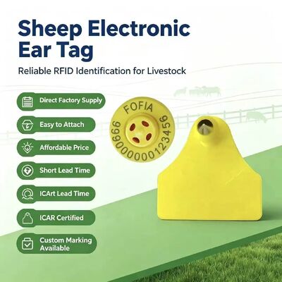 내구성 있는 방수 조합 전자 동물 추적 귀 태그 새로운 고품질 RFID TPU 레이저 코딩 3 년 보증 Fofia