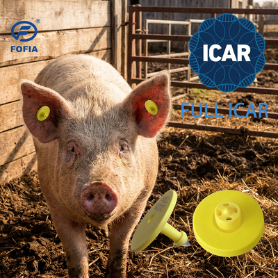 FULL ICAR ET908 BLE 리더 ISO11784/5 FDX-B와 함께 원형 동물 귀 태그 방수 및 내구성