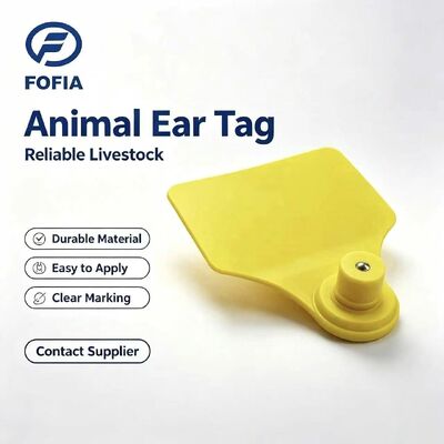 ICAR Fofia T904+T901 동물 귀표 신규 고품질 RFID TPU 72*57mm 레이저 코딩 3년 보증 농장용 소용