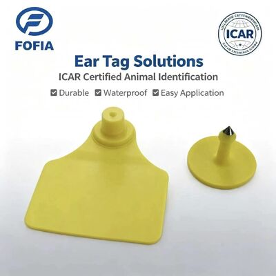 내구성 방수 ICAR Fofia T904 + T901 동물 귀 태그 칩 RFID TPU 레이저 코딩 3 년 보증 소 추적