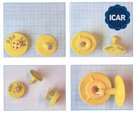 New Waterproof Fofia Full ICAR Certified ET908 Yellow RFID TPU Cow Ear Tag High Quality 1.5 Year Warranty Animal Pig Sheep