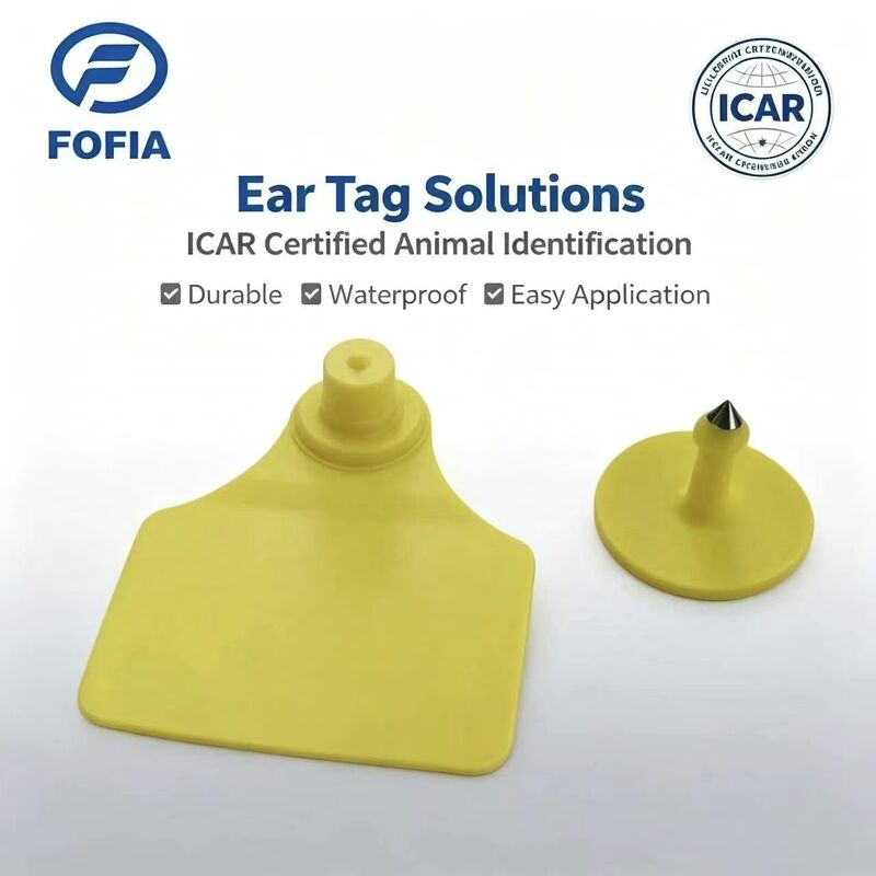 내구성 방수 ICAR Fofia T904 + T901 동물 귀 태그 칩 RFID TPU 레이저 코딩 3 년 보증 소 추적